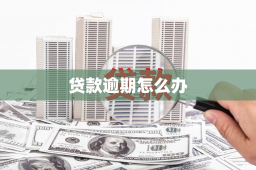 卓兰贷款逾期怎么办