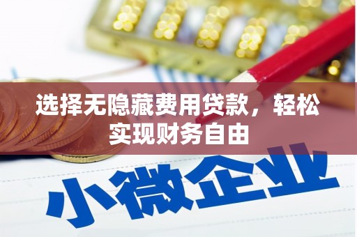 卓兰选择无隐藏费用贷款，轻松实现财务自由