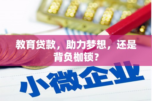 卓兰教育贷款，助力梦想，还是背负枷锁？
