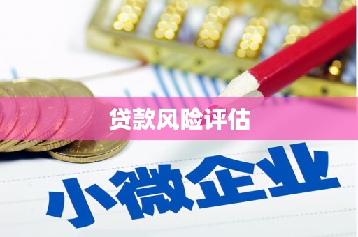 卓兰贷款风险评估