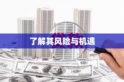 卓兰了解其风险与机遇