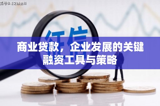 卓兰商业贷款，企业发展的关键融资工具与策略