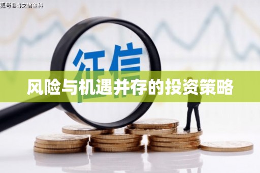 卓兰风险与机遇并存的投资策略