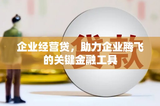卓兰企业经营贷，助力企业腾飞的关键金融工具