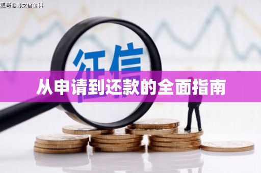 卓兰从申请到还款的全面指南