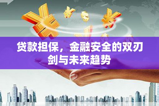 卓兰贷款担保，金融安全的双刃剑与未来趋势