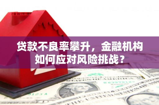 卓兰贷款不良率攀升，金融机构如何应对风险挑战？