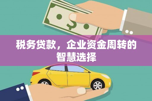 卓兰税务贷款，企业资金周转的智慧选择