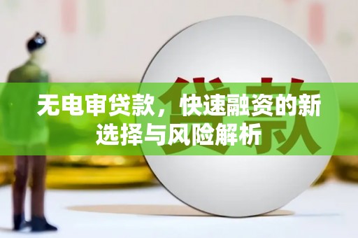 卓兰无电审贷款，快速融资的新选择与风险解析