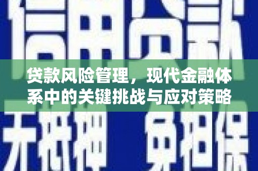卓兰贷款风险管理，现代金融体系中的关键挑战与应对策略