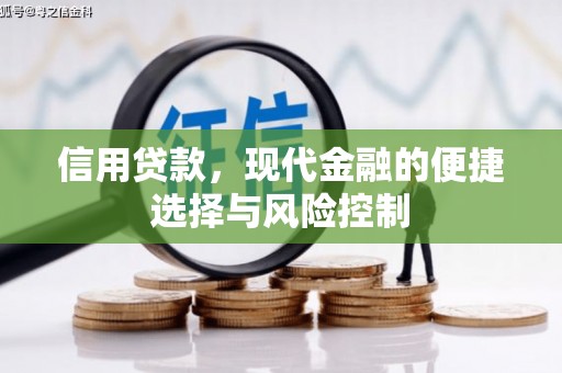卓兰信用贷款，现代金融的便捷选择与风险控制