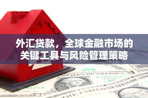 卓兰外汇贷款，全球金融市场的关键工具与风险管理策略