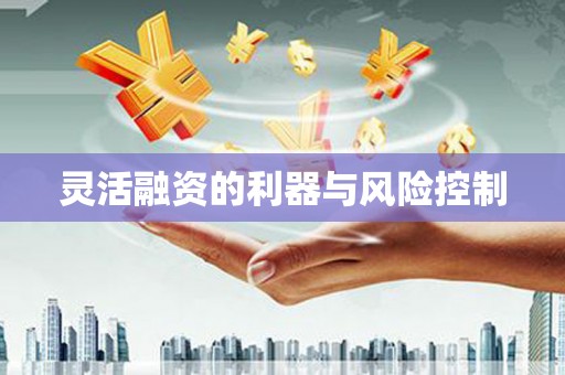 卓兰灵活融资的利器与风险控制