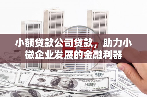 卓兰小额贷款公司贷款，助力小微企业发展的金融利器