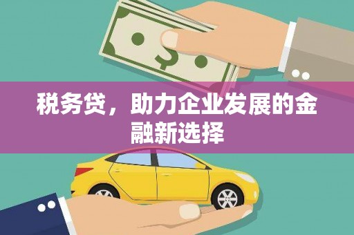 卓兰税务贷，助力企业发展的金融新选择
