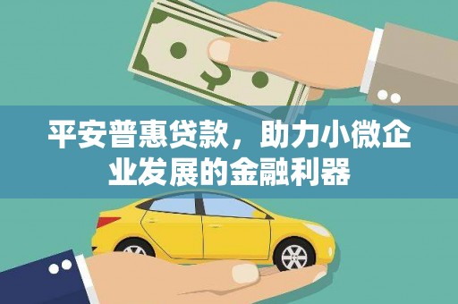卓兰平安普惠贷款，助力小微企业发展的金融利器