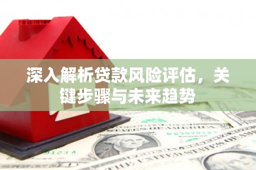 卓兰深入解析贷款风险评估，关键步骤与未来趋势