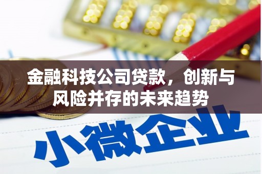 卓兰金融科技公司贷款，创新与风险并存的未来趋势