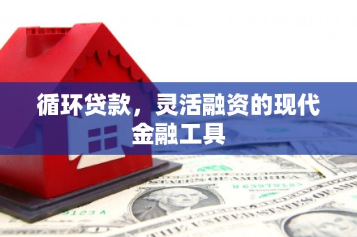 卓兰循环贷款，灵活融资的现代金融工具