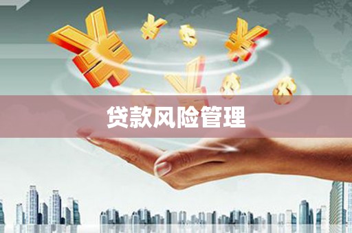 卓兰贷款风险管理
