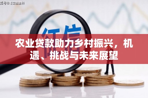 卓兰农业贷款助力乡村振兴，机遇、挑战与未来展望