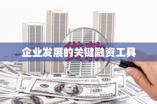 卓兰企业发展的关键融资工具