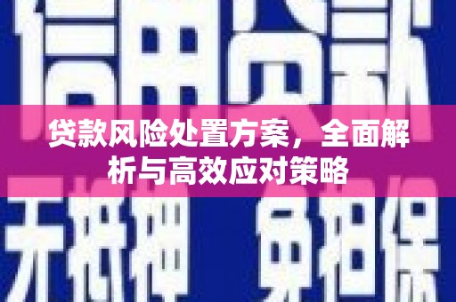 卓兰贷款风险处置方案，全面解析与高效应对策略