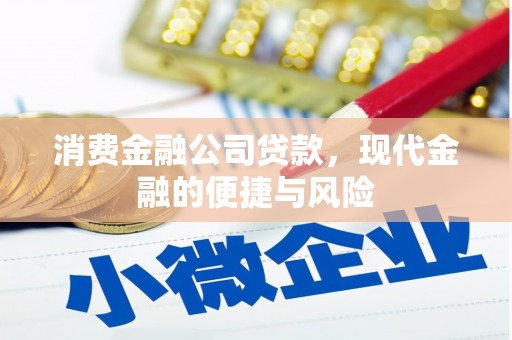 卓兰消费金融公司贷款，现代金融的便捷与风险
