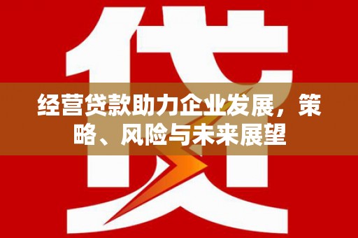 卓兰经营贷款助力企业发展，策略、风险与未来展望