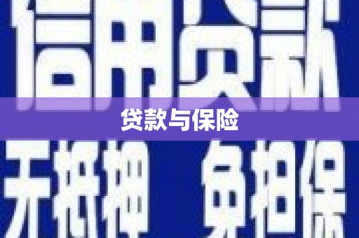 卓兰贷款与保险