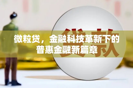 卓兰微粒贷，金融科技革新下的普惠金融新篇章