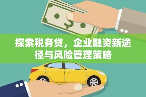 卓兰探索税务贷，企业融资新途径与风险管理策略
