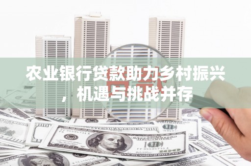 卓兰农业银行贷款助力乡村振兴，机遇与挑战并存