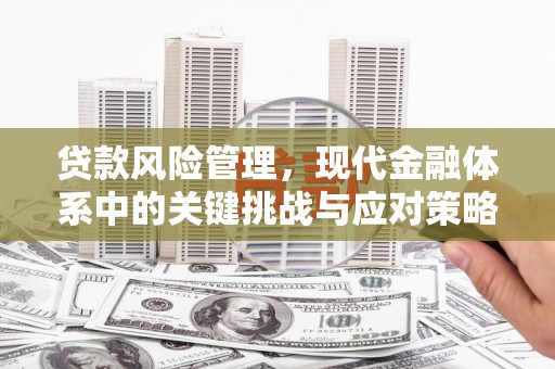卓兰贷款风险管理，现代金融体系中的关键挑战与应对策略