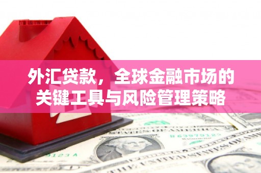 卓兰外汇贷款，全球金融市场的关键工具与风险管理策略