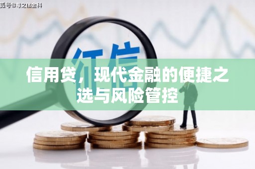 卓兰信用贷，现代金融的便捷之选与风险管控