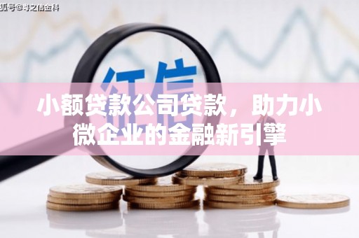 卓兰小额贷款公司贷款，助力小微企业的金融新引擎