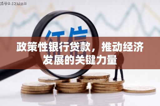 卓兰政策性银行贷款，推动经济发展的关键力量