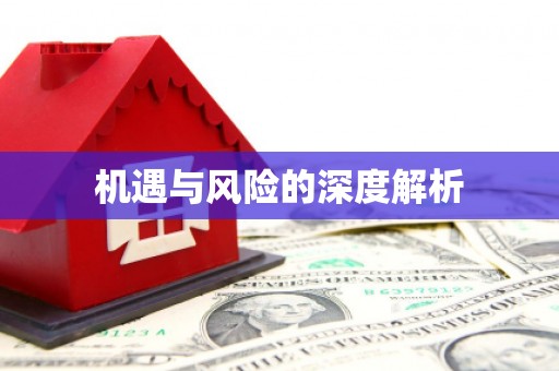 卓兰机遇与风险的深度解析