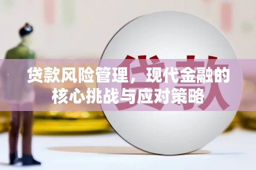 卓兰贷款风险管理，现代金融的核心挑战与应对策略