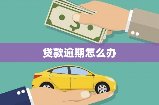 卓兰贷款逾期怎么办