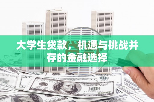 卓兰大学生贷款，机遇与挑战并存的金融选择