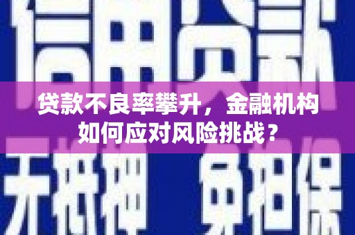 卓兰贷款不良率攀升，金融机构如何应对风险挑战？