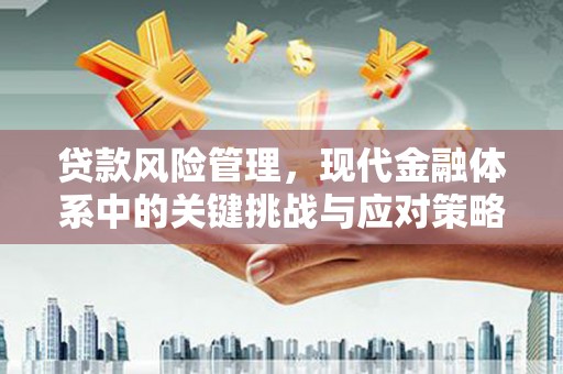 卓兰贷款风险管理，现代金融体系中的关键挑战与应对策略