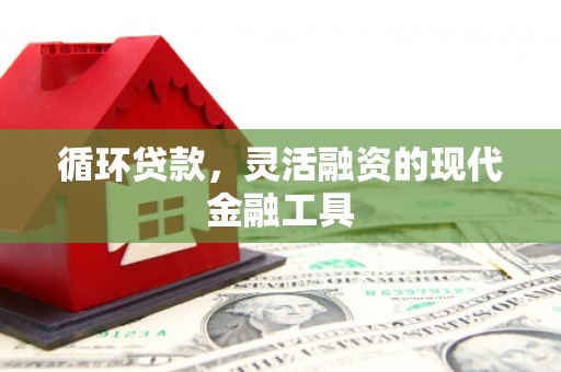 卓兰循环贷款，灵活融资的现代金融工具