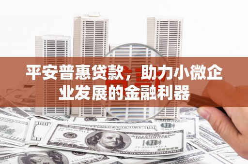 卓兰平安普惠贷款，助力小微企业发展的金融利器