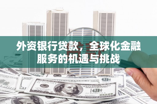 卓兰外资银行贷款，全球化金融服务的机遇与挑战