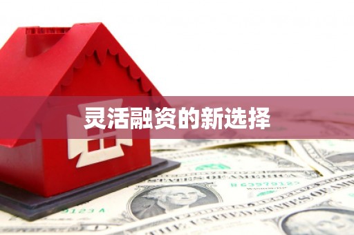 卓兰灵活融资的新选择