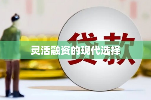 卓兰灵活融资的现代选择