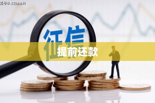 卓兰提前还款